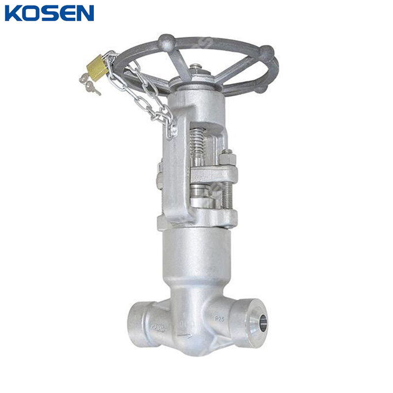 ASTM A182 F316 Globe Valves, API 602, 2 IN, 1500 LB, PSB, BW