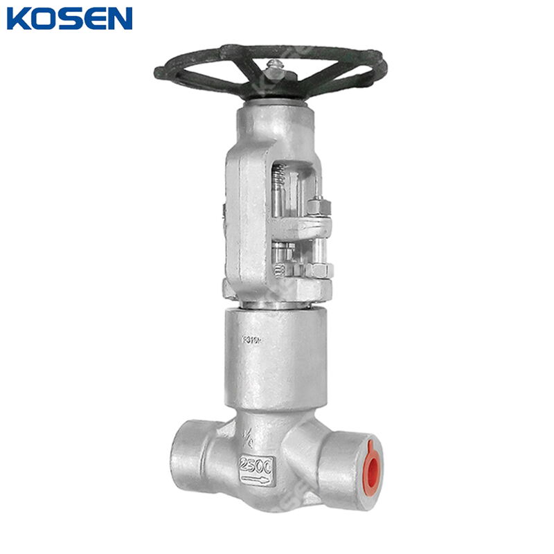 ASTM A182 F316L Globe Valve, API 602, 3/4 Inch, 2500 LB, PSB
