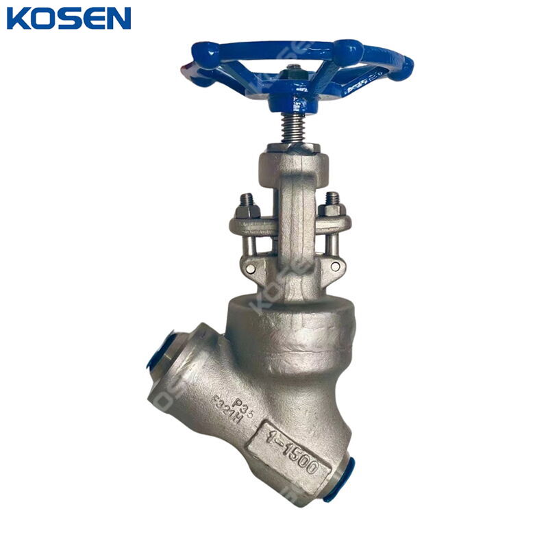 ASTM A182 F321H Globe Valve, API 602, 1 Inch, CL1500, BW, WB