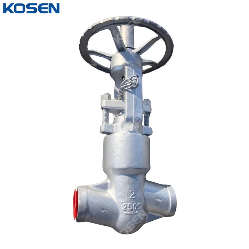 ASTM A182 F91 Globe Valve, API 602, 2 Inch, CL2500, SW, PSB