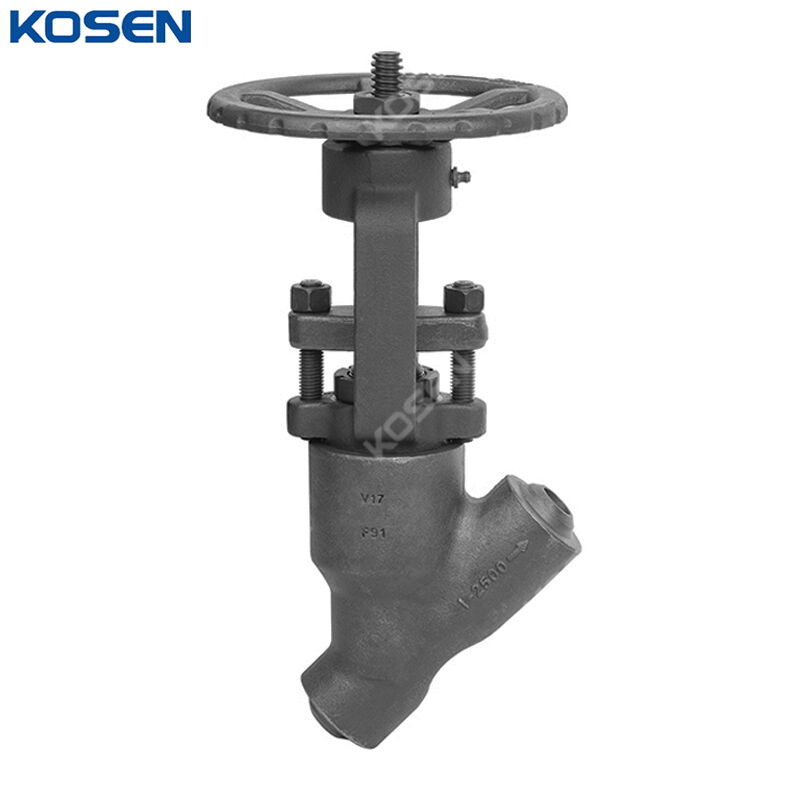 ASTM A182 F91 Y Globe Valve, API 602, 1 Inch, CL2500 LB, PSB