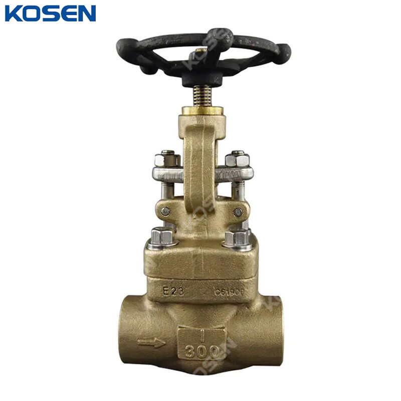 ASTM B150 C61900 Globe Valve, API 602, 1 Inch, CL300, FNPT