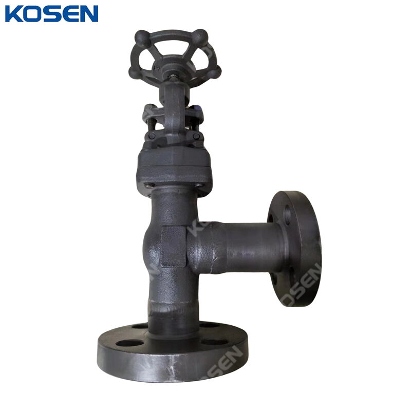 Carbon Steel Angle Globe Valve, API 602, A105N, RTJ, Custom