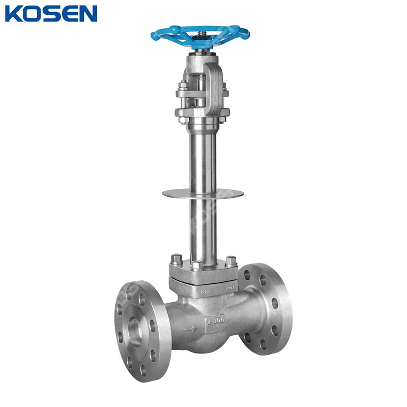 Cryogenic Globe Valve, API 602, ASTM A182 F304, 2 IN, CL300