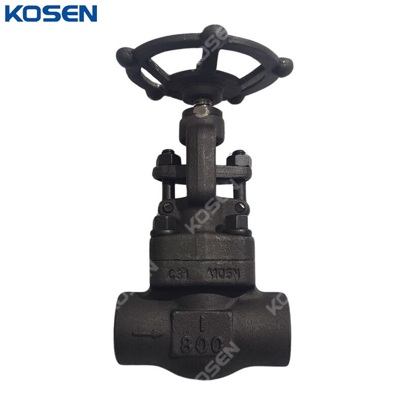 Forged ASTM A105N Globe Valve, API 602, 1 IN, CL800, SW Ends