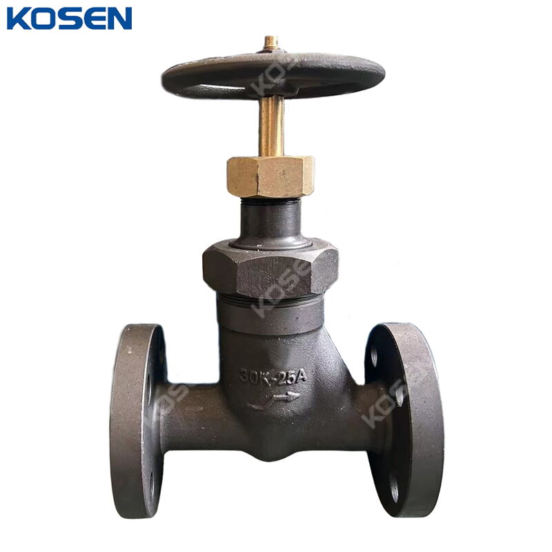 Non-rising Stem Globe Valve, JIS, ASTM A105N, 25A, 30K, 1 IN