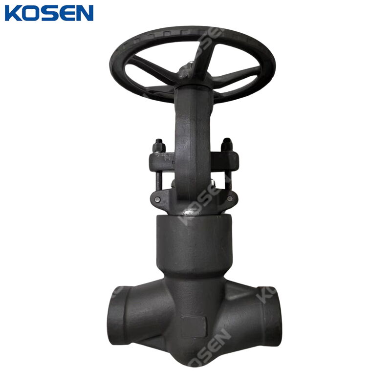 Pressure Sealed Globe Valve, API 602, ASTM A105N, SW, Custom