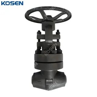 ASTM A105N Globe Valve, API 602, DN50, PN320, 2 Inch, BW End