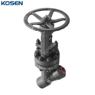 ASTM A105N Y Globe Valve, API 602, DN50, PN400, 2 Inch, BB