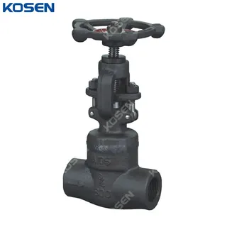 Welded Bonnet Globe Valve, API 602, ASTM A105, 3/4 IN, CL800