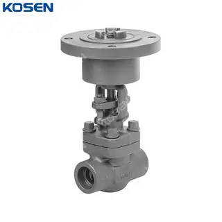 ASTM A105N Globe Valve, Carbon Steel, 1 Inch, CL800, SW Ends