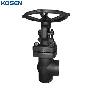 Angle Globe Valve, API 602, ASTM A105N, 1 Inch, 800 LB, SW
