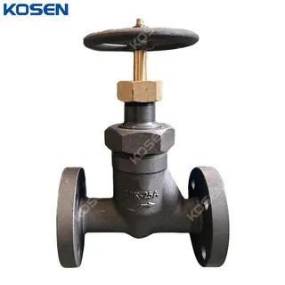 Non-rising Stem Globe Valve, JIS, ASTM A105N, 25A, 30K, 1 IN