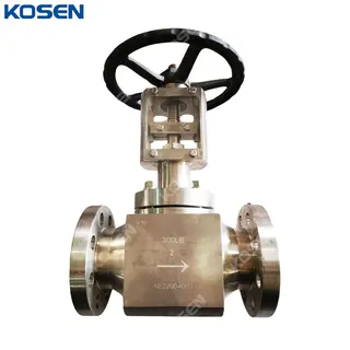 MONEL K400 Globe Valve, API 602, 2 Inch, 300 LB, RF Flanged