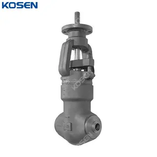 ASTM A105N SPB Globe Valve, API 602, 2 Inch, CL4500, BW Ends