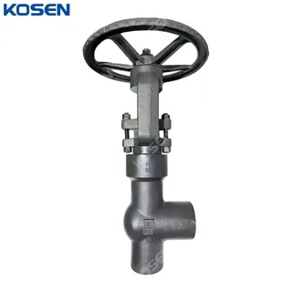 API 602 Angle Globe Valve, ASTM A182 F22, 2 IN, 2500 LB, PSB