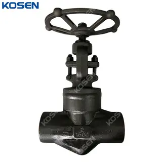 Welded Bonnet Globe Valves, API 602, A105N, 2 IN, CL1500, SW