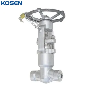 ASTM A182 F316 Globe Valves, API 602, 2 IN, 1500 LB, PSB, BW