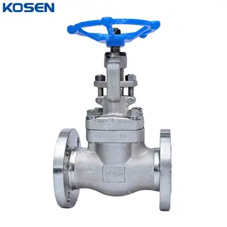 API 602 Globe Valves, ASTM A182 F316, 1/2 Inch, CL150 LB, RF