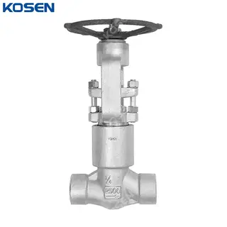 API 602 PSB Globe Valve, A182 F316L, 3/4 Inch, CL2500 LB, SW