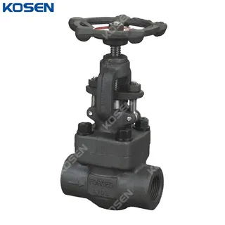 ASTM A105 Globe Valve, API 602, 1 IN, 800 LB, BB, OS&Y, FNPT