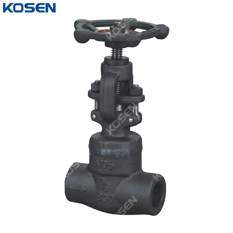 Welded Bonnet Globe Valve, API 602, ASTM A105, 3/4 IN, CL800