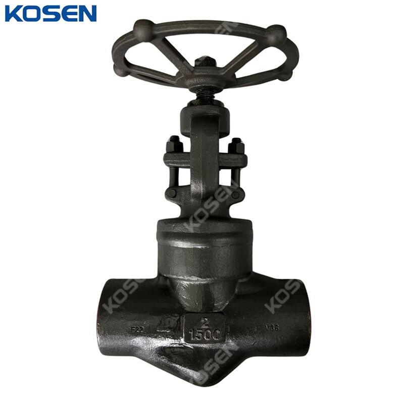 Welded Bonnet Globe Valves, API 602, A105N, 2 IN, CL1500, SW