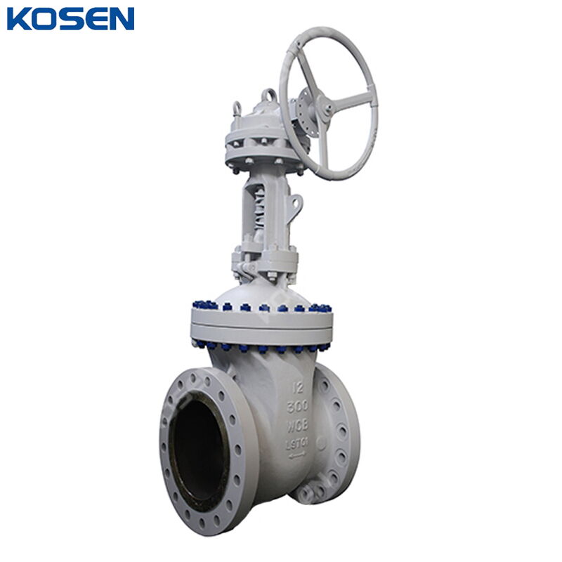 API 600 Gate Valves, ASTM A216 WCB, 12 IN, 300 LB, DN300, RF