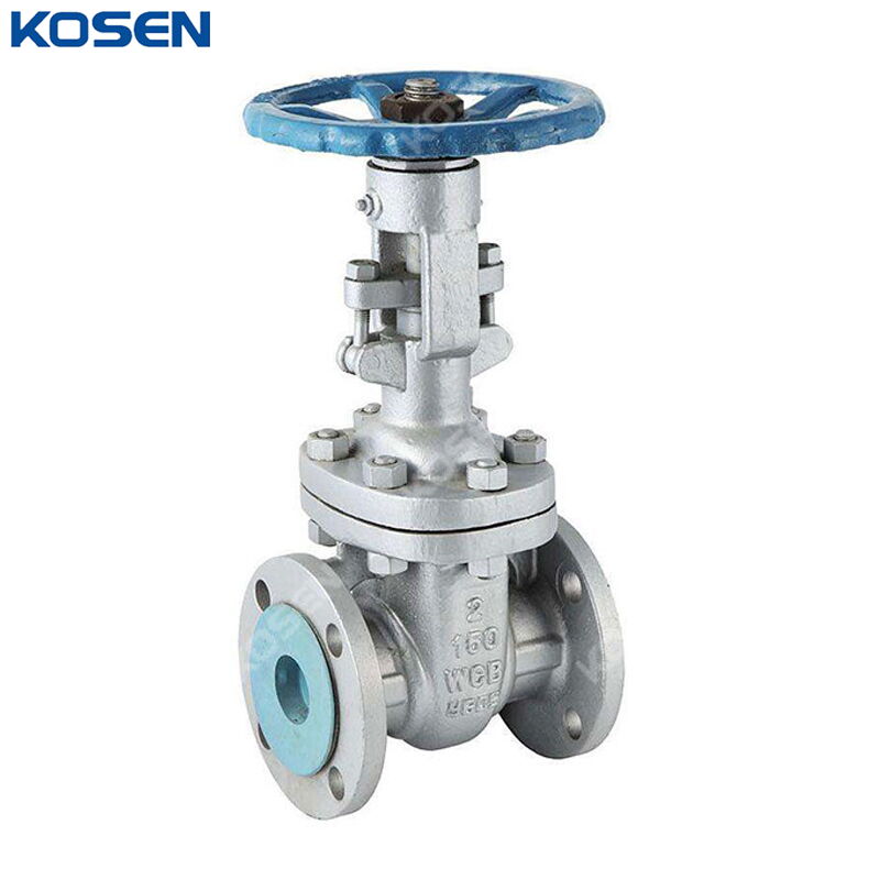 API 600 Wedge Gate Valve, ASTM A216 WCB, 2 Inch, 150 LB, RF