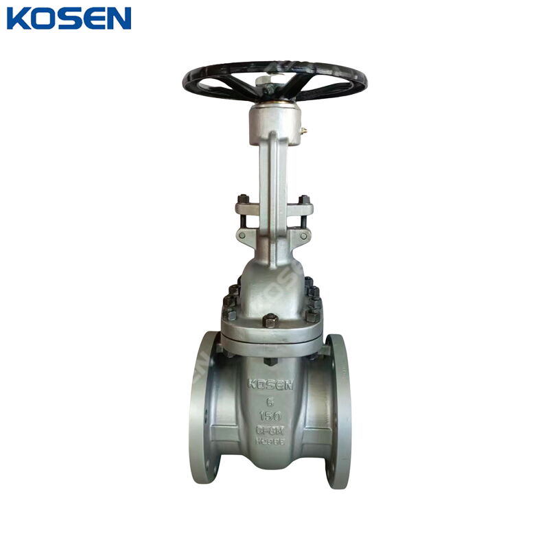 API 600 Wedge Gate Valves, ASTM A351 CF8M, 6 IN, 150 LB, RF