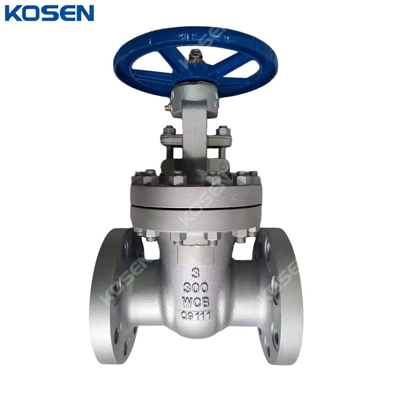 ASTM A216 WCB Gate Valve, API 600, 3 Inch, 300 LB, DN80, RF