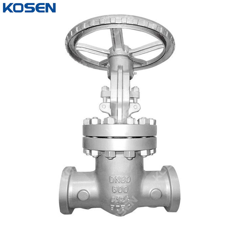 ASTM A217 C12A Wedge Gate Valve, DIN 3352, DN80, PN100, BW
