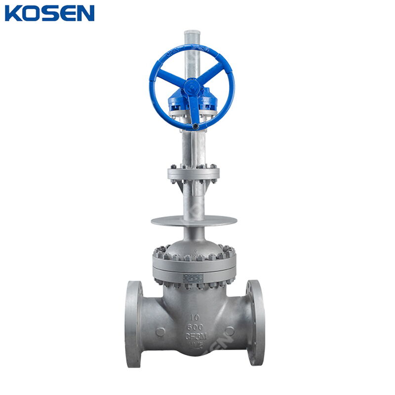 ASTM A351 CF3M Cryogenic Gate Valve, API 600, 10 Inch, CL600