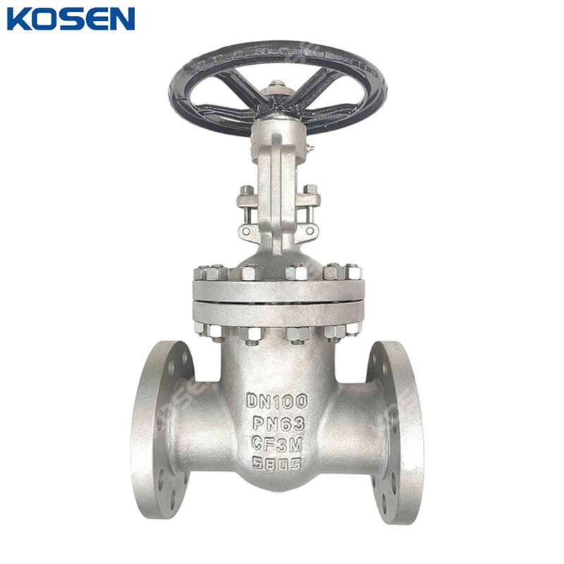 ASTM A351 CF3M Wedge Gate Valve, DIN 3352, DN100, PN63, RF
