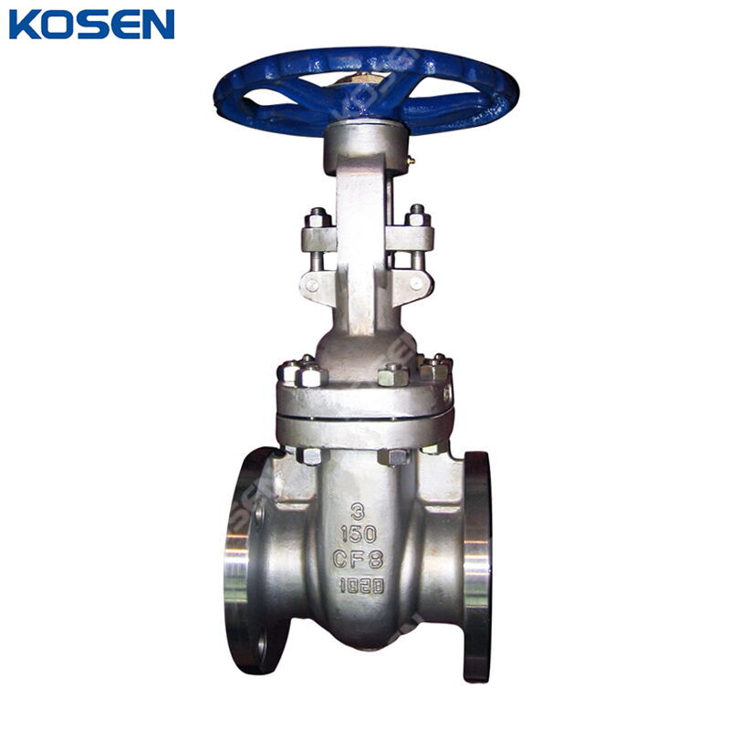 ASTM A351 CF8 Gate Valve, API 600, 3 IN, CL150, DN80, OS&Y