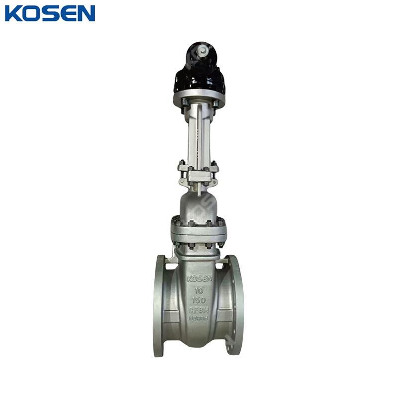 ASTM A351 CF8M Gate Valves, API 600, 10 Inches, CL150 LB, RF