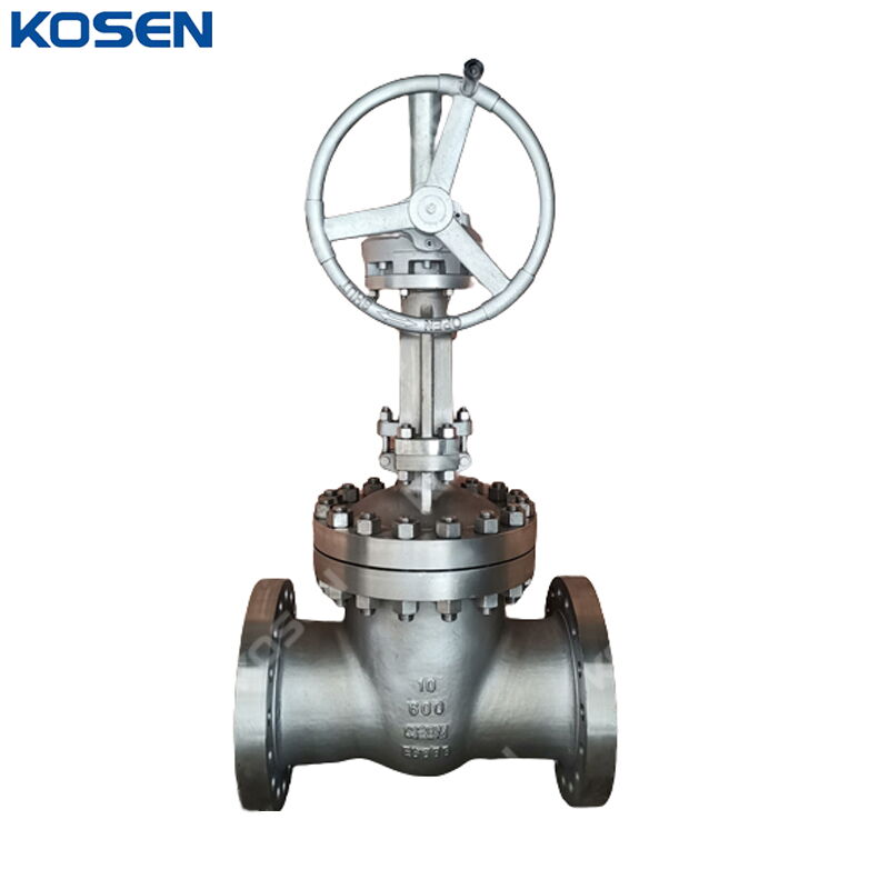 ASTM A351 CF8M Wedge Gate Valve, API 600, 10 Inch, CL600, RF
