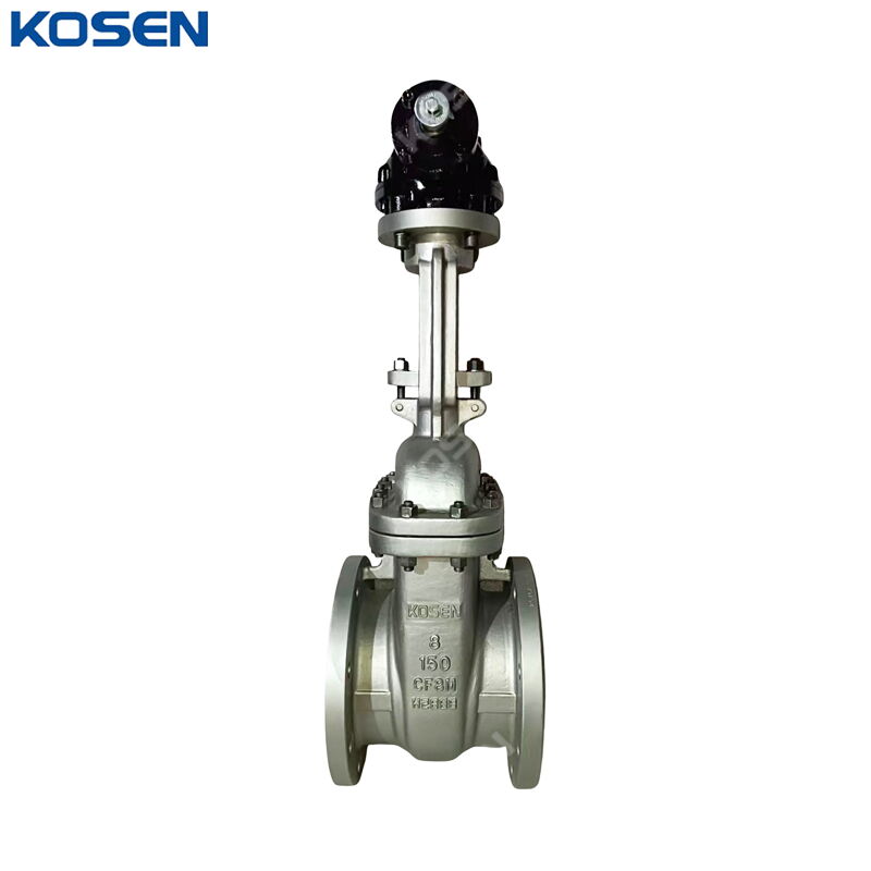 ASTM A351 CF8M Wedge Gate Valve, API 600, 8 Inch, 150 LB, RF