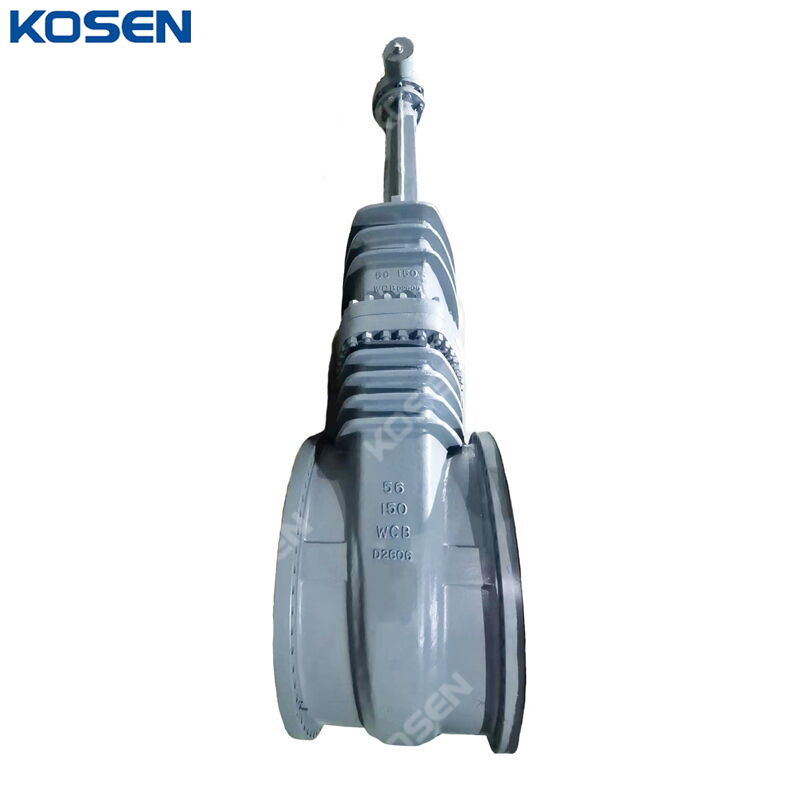 Bolted Bonnet Wedge Gate Valve, API 600, WCB, 56 Inch, CL150