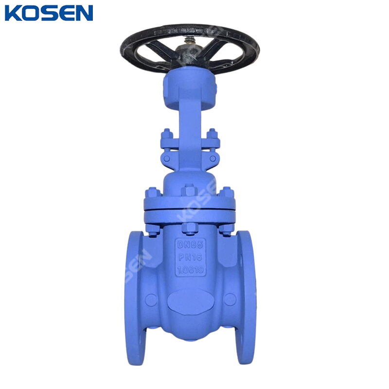 DIN 3352 F4 Wedge Gate Valve, EN 1.0619, DN65, PN16, BB, RF
