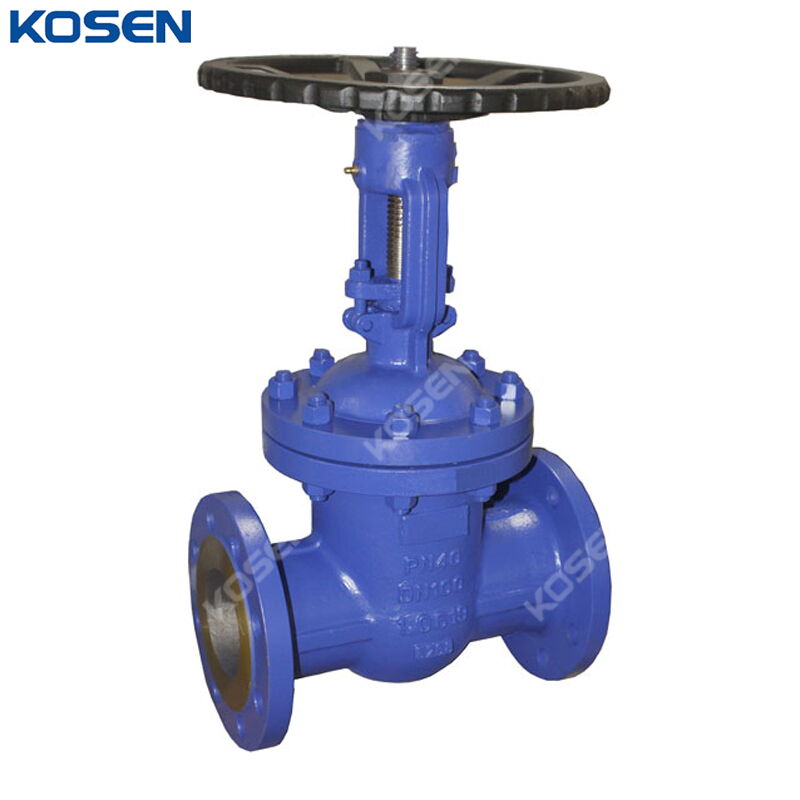 DIN 3352 F7 Gate Valve, EN 1.0619, DN100, PN40, BB, OS&Y, RF