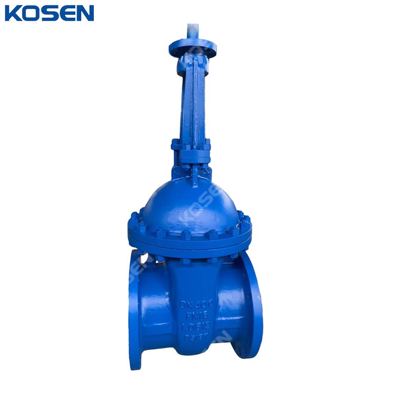 DIN 3352 Wedge Gate Valve, EN 1.0619, DN400, PN16, 16 IN, RF