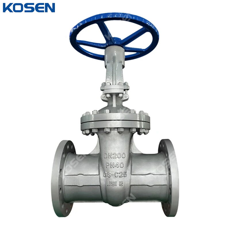 DIN 3352 Wedge Gate Valves, GS-C25, DN200, PN40, RF Flanged