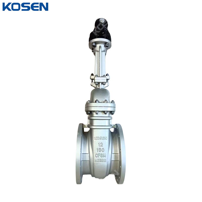 Flexible Wedge Gate Valves, ASTM A351 CF8M, 12 IN, CL150, RF