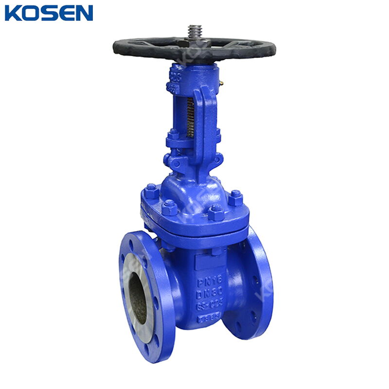 GS-C25 Gate Valve, DIN 3352 F4, DN80, PN16, Rising Stem, RF