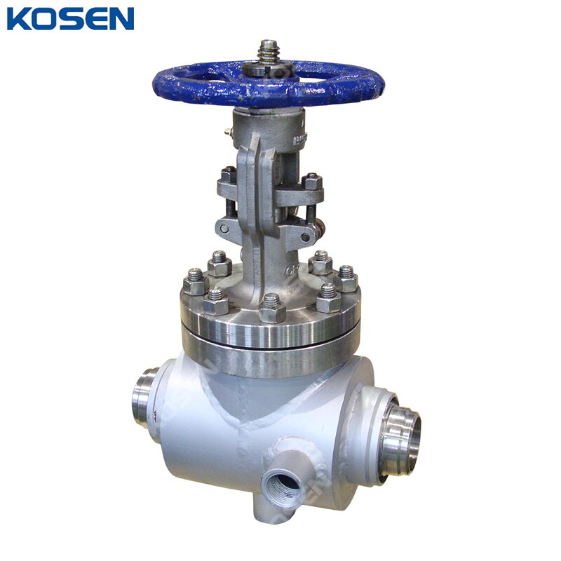 Jacketed Gate Valve, API 600, ASTM A351 CF8, 3 IN, CL300, BW