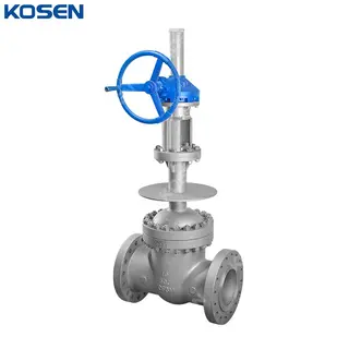 Extended Stem Gate Valve, ASTM A351 CF3M, 10 Inch, CL600, RF
