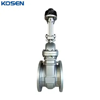 Stainless Steel Gate Valve, API 600, A351 CF8M, 12 IN, CL150