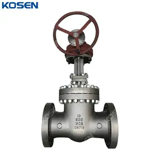 API 600 Wedge Gate Valve, A216 WCB, 10 Inch, 900 LB, Gearbox