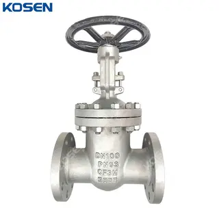 ASTM A351 CF3M Wedge Gate Valve, DIN 3352, DN100, PN63, RF